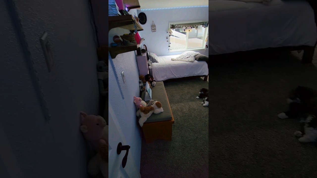 Cleaning my very messy room ✨️🫶🧹🧽🧼 