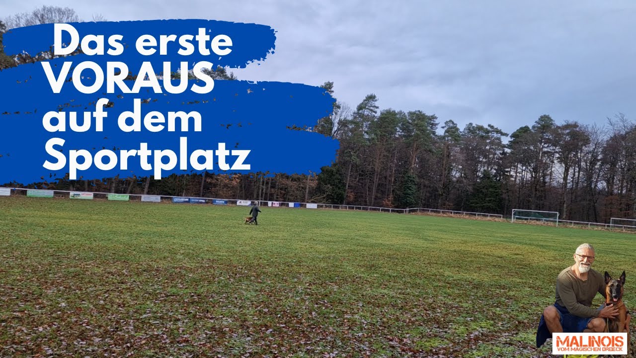 IGP Hundesport: Voraus auf dem Sportplatz