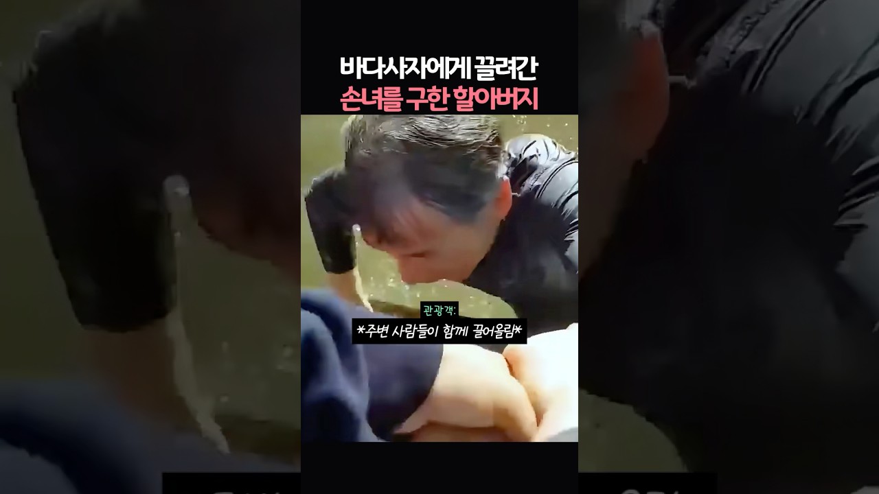바다사자에게 끌려간 손녀를 구한 할아버지