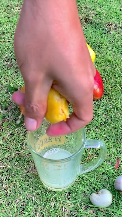 Arak jawa jambu mete jos gandos