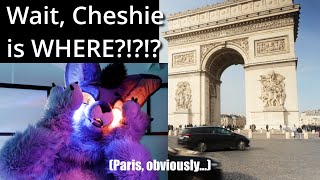 Where's Cheshie: Winter 2025 edition