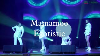 2021 호원대학교 K-POP학과 신입생 환영 공연 / 마마무 - 너나 해 (Mamamoo - Egotistic) 2021 호원대학교 K-POP학과 신입생 환영 공연 / 마마무 - 너나 해 (Mamamoo - Egotistic)