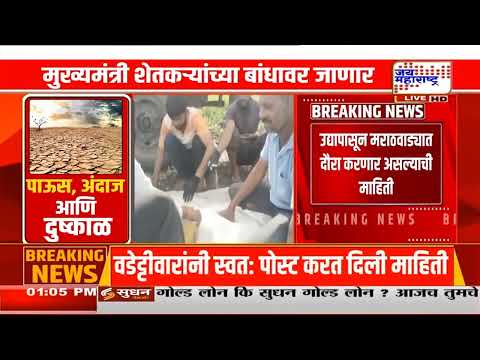 Buldhana Farmer | दुष्काळाची तीव्रता वाढली; सोयाबीन, तूर, कपाशी, मका करपले, शेतकरी संकटात