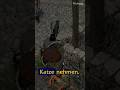 Das BESTE Feature in Crimson Desert