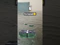#imbored