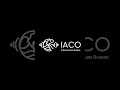 Красотки в бикини от IACO #iaco #бикини #купальник