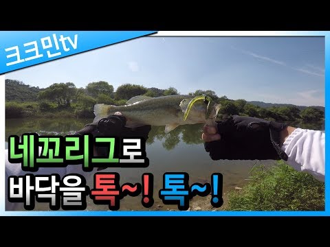 네꼬리그 와키리그 배스낚시병천천