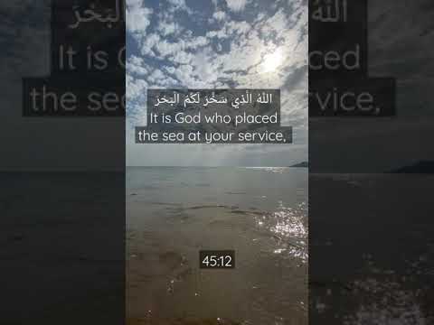 الل ه ال ذ ي س خ ر ل ك م ال ب ح ر سورة الجاثية سعود الشريم