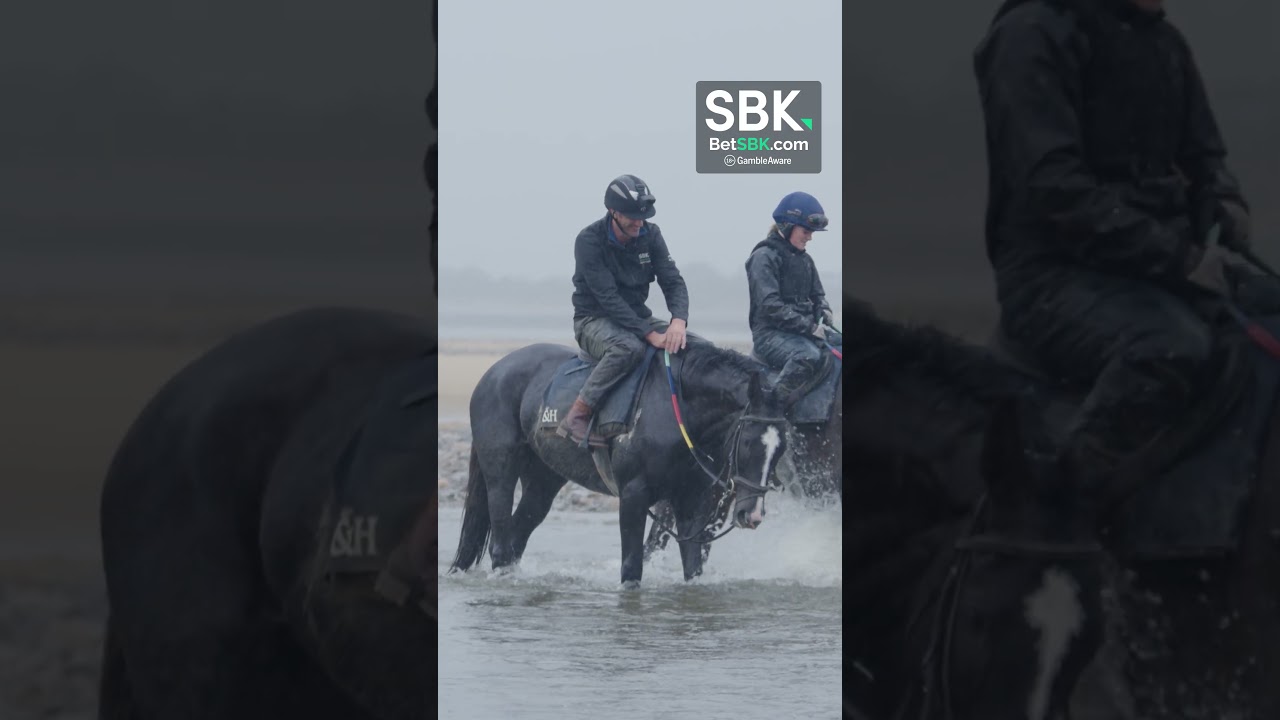 Команда подкаста SBK Betting Podcast покинула студию и отправилась на побережье Уэльса.