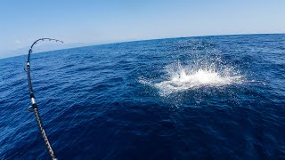 Deep Sea Fishing INSANITY 30 Miles Out! [CATCH CLEAN COOK]