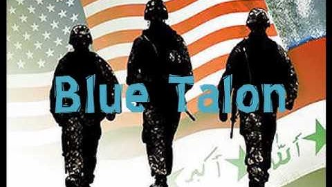 PR project -- blue talon security