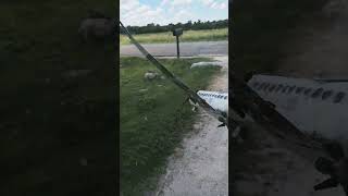 My custom RC airplane
