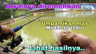 Joss..! Racikan jitu umpan Mancing ikan mas langsung test. screenshot 4