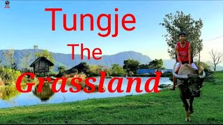 Tungje the Grassland