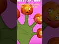 Youtube Thumbnail title