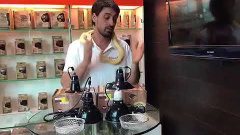 Get Your Pet Right Reflector Dome