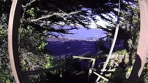 Morning Wind