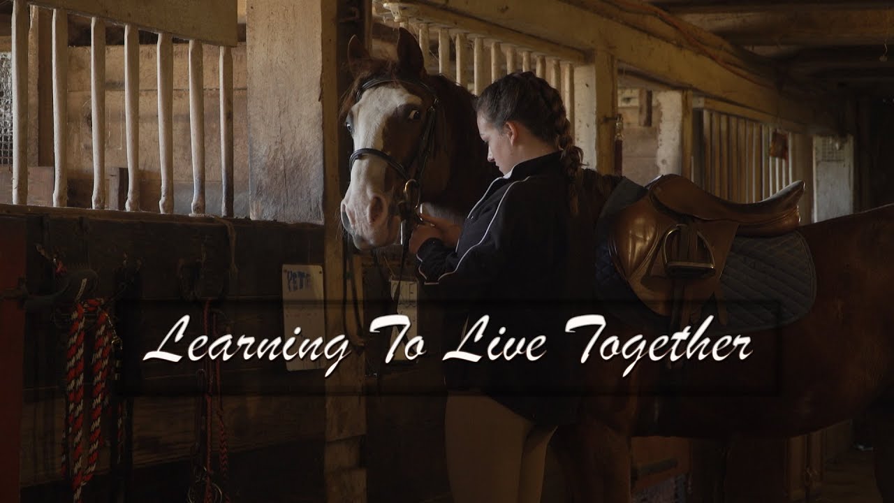 LEARNING TO LIVE TOGETHER WHERE TO WATCH visual data 6