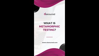 what is metamorphic testing?
