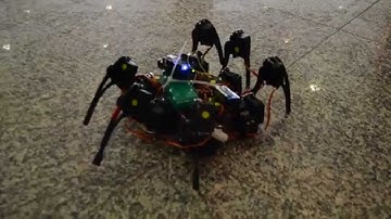 Hexapod