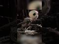 Why is Jack Skellington the one who really runs the whole town? #nightmarebeforechristmas #fypシ