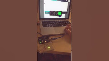 Arduino/ Processing LED controller