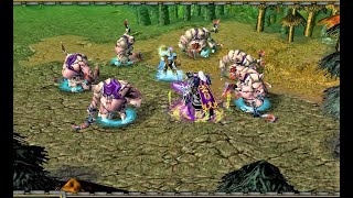 Warcraft 3: Rowan The Wise 07 (Hard) Part 1  - Curse Of The Blood Elves
