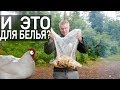 ХИК. Вакуматор для белья? Ну для куриц подошел.