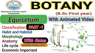Equisetum/Morphology/Anatomy/Reproduction/life cycle|| Part-1