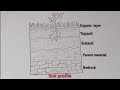 Soil Profile Drawing for Beginners | Easy Step-by-Step Tutorial