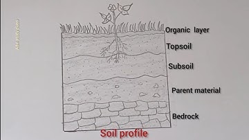 Soil Profile Drawing for Beginners | Easy Step-by-Step Tutorial