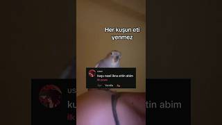 Her Kuşun Eti Yenmez 😵