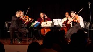 2012 DALI QUARTET CHAMBER MUSIC CAMP & FESTIVAL sizzle (r) - August 3rd-12th, 2012