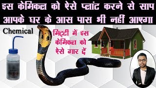 इस chemical को ऐसे गार दें, सांप नहीं आएगा | Chemical Planting Process to Keep Snake away from house