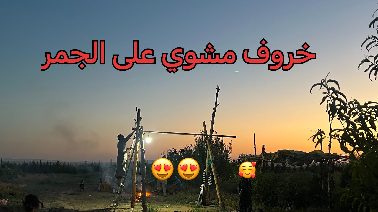 السفر من امريكا الى الجزائر ولقاء الاهل والاحباب