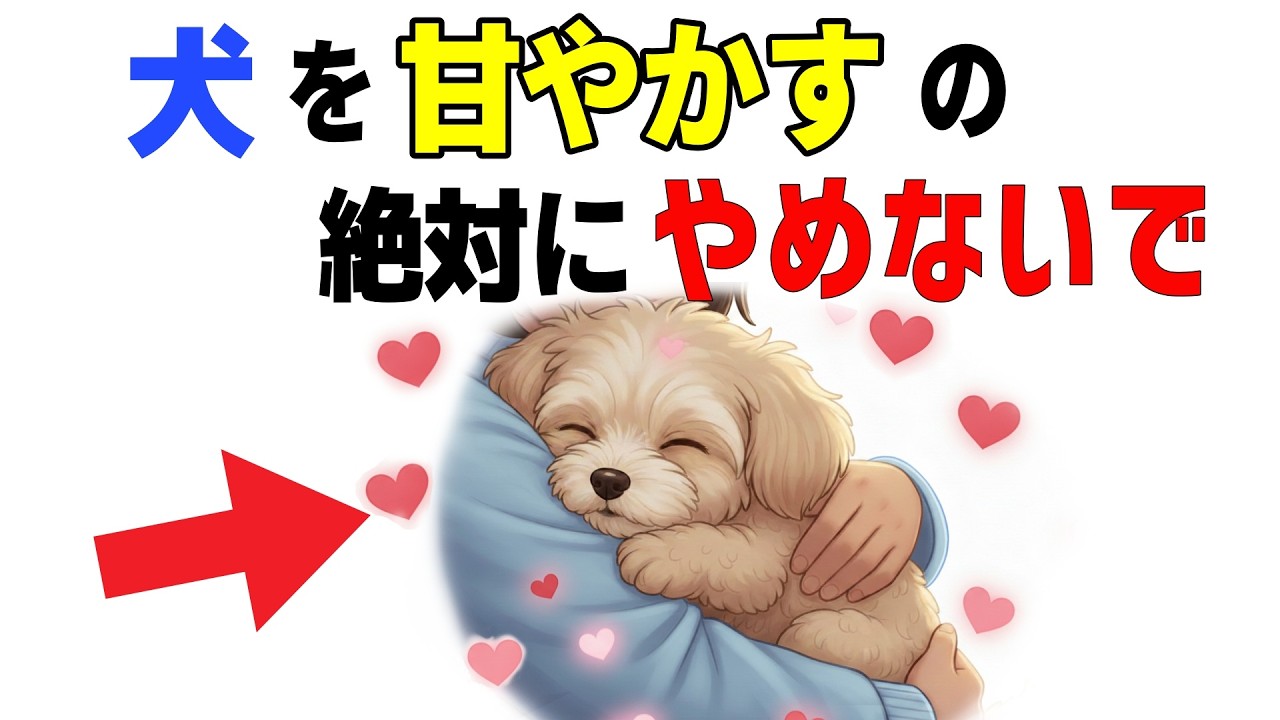 【犬の雑学】知らないと後悔する⁈“甘やかし”の真実