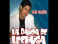 Se terminola banda de lechuga