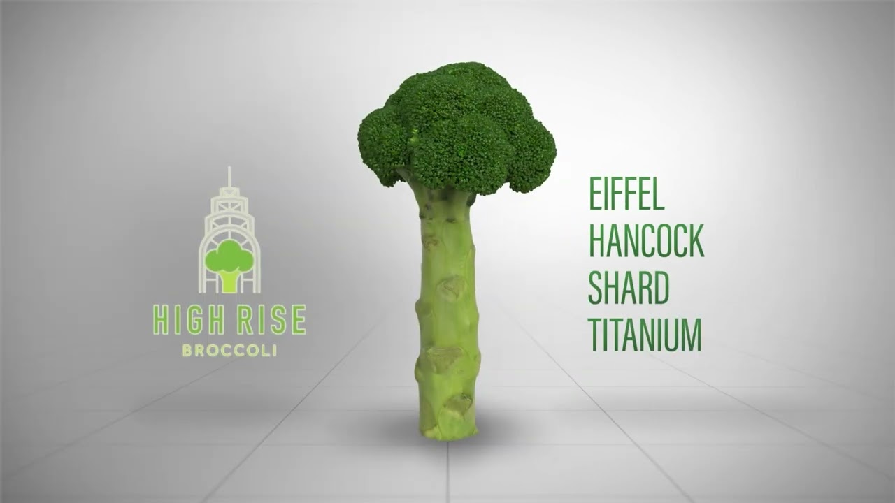 Tomorrow Seeds Today - Automatisering