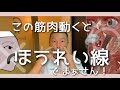 【 この筋肉動くと!ほうれい線でません 】