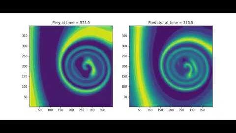Prey Predator reaction-diffusion equation