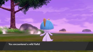 WIld Shiny Ralts! (Pokémon Sword/Shield) (22 Encounters)