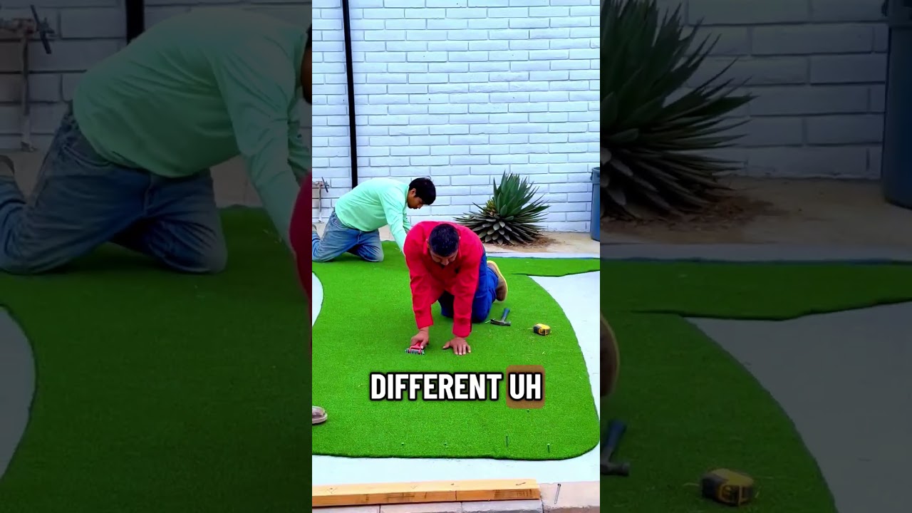 Check this big project 