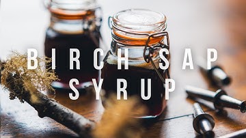 Tapping Birch Sap & Making Birch Syrup