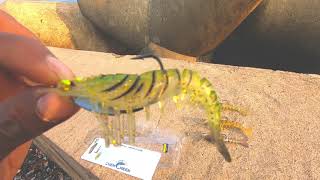How to use Shrimp lure | कोळंबी माशाचा वापर कसा करावा | Lucana Chemeen | shrimps Retrieving tips
