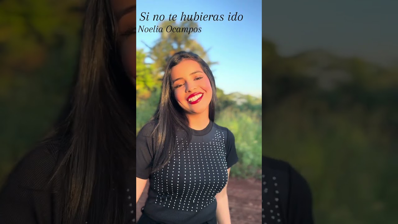 Si no te hubieras ido