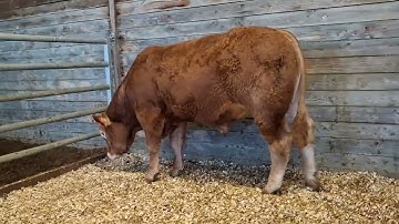 TAG 351 - Vente L2 - campagne 2025-2026