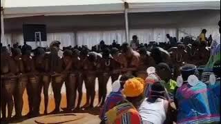 Venda Traditional Dance (Domba)