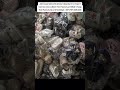 Join Business Class learn to Import croc from factory at 50ksh cheap than Kamukunji+254704208606 #fy
