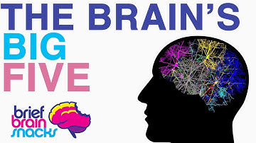 The Five Main Structures of the Brain