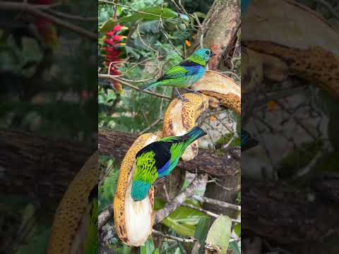 لينا رب إسمه الكريم